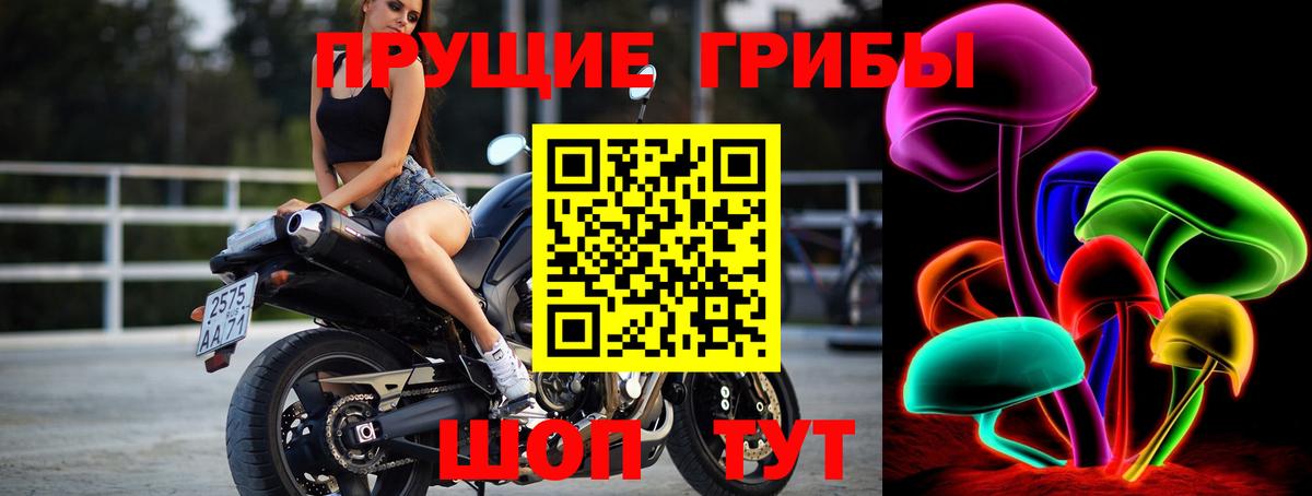 Псилоцибиновые грибы мицелий Нефтекумск