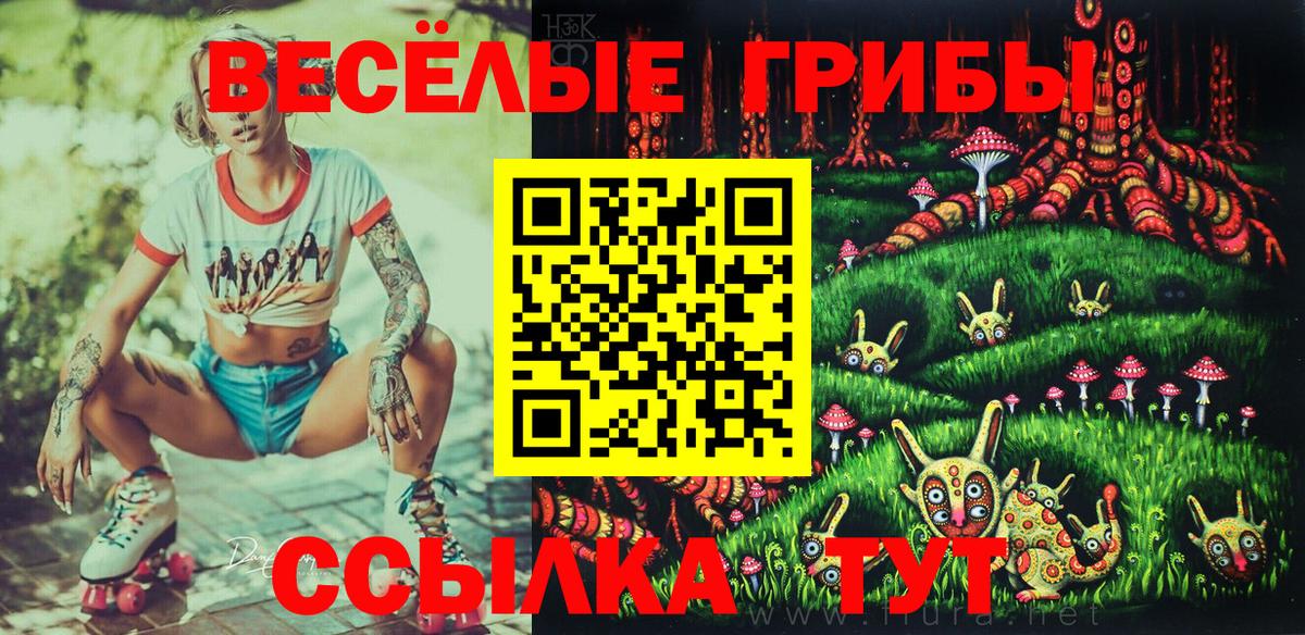 Нефтекумск  Галлюциногенные грибы мухоморы  Вход с VPN 